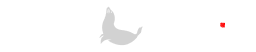 logo-ft